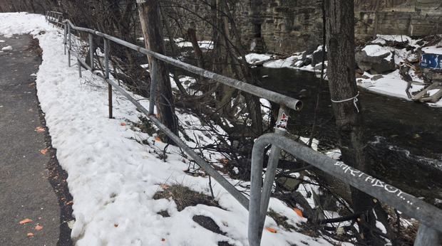 Baltimore Lead Paint Chips