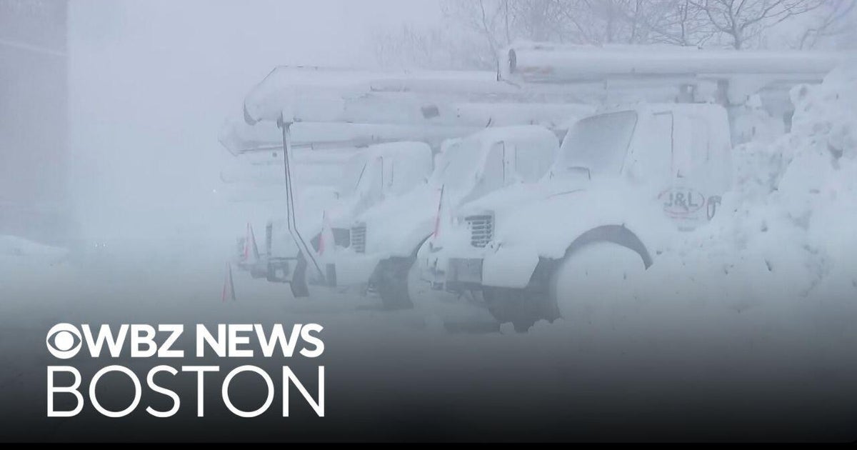 Look back at the Blizzard of 2026