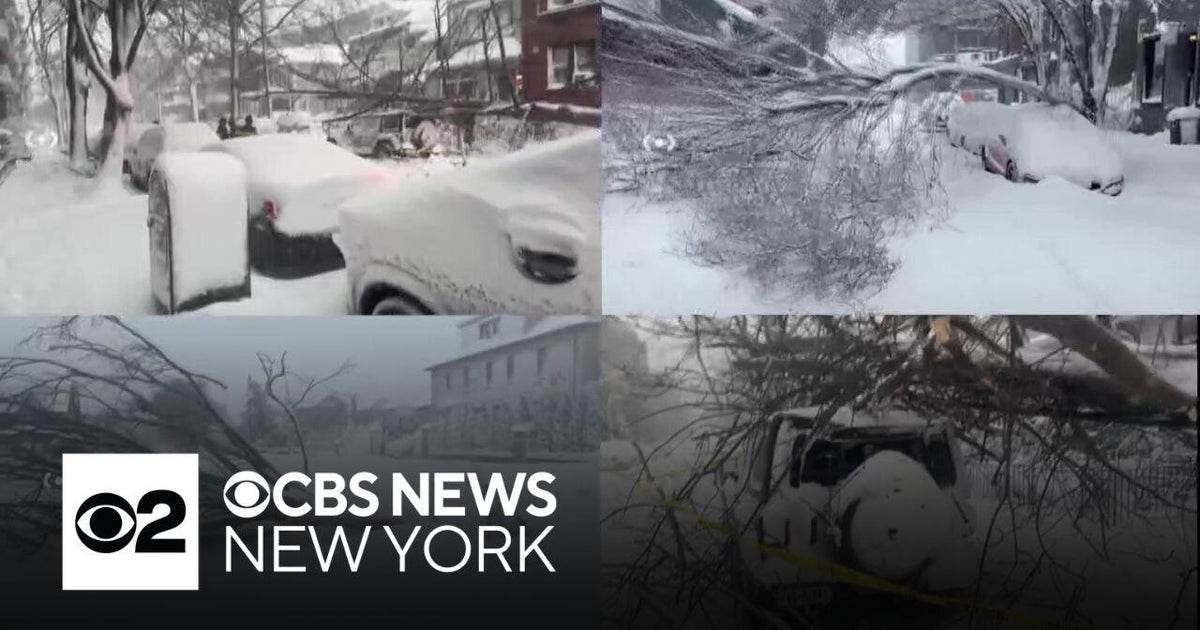 Blizzard leaves plenty of damage across New York City - CBS New York