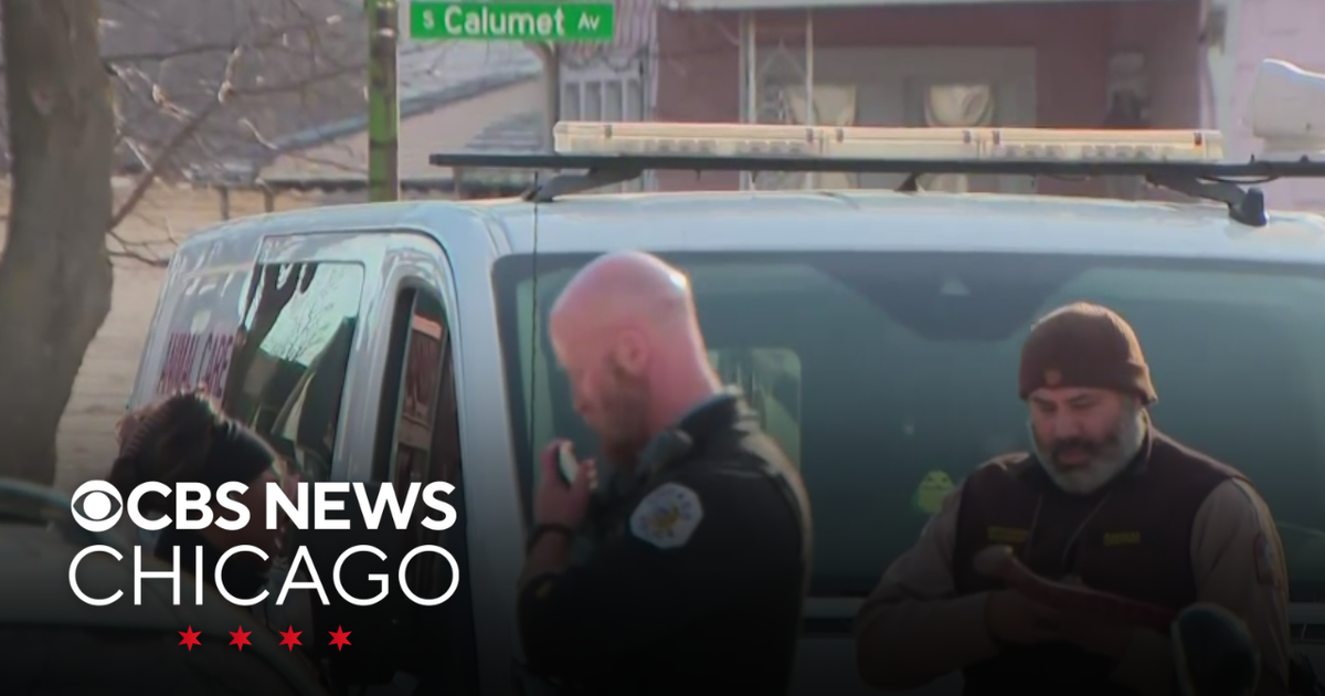 Man, dog shot in Chicago's West Pullman neighborhood - CBS Chicago