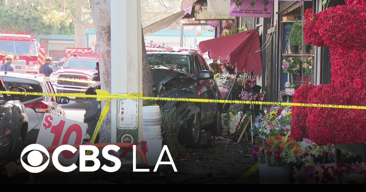 Several people hurt after driver crashes into pedestrians in downtown ...