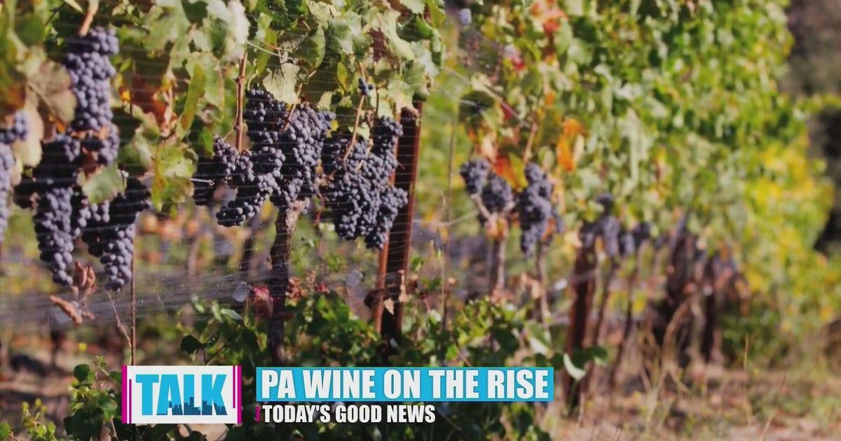 Pennsylvania wine, flights to Myrtle Beach and bridges
