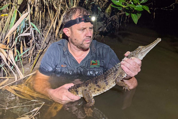 Crocodile found by boy lurking in a creek near family’s home — 1,200 miles from its tropical habitat