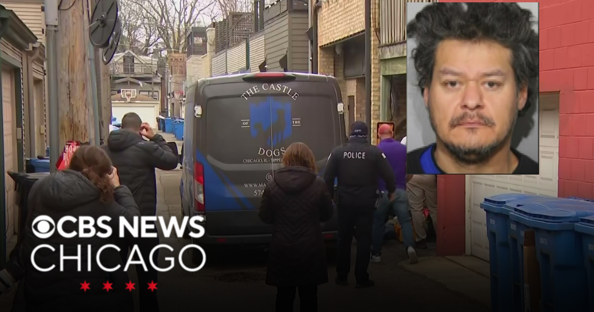 Man charged with allegedly stealing pet van on North Side appears in ...