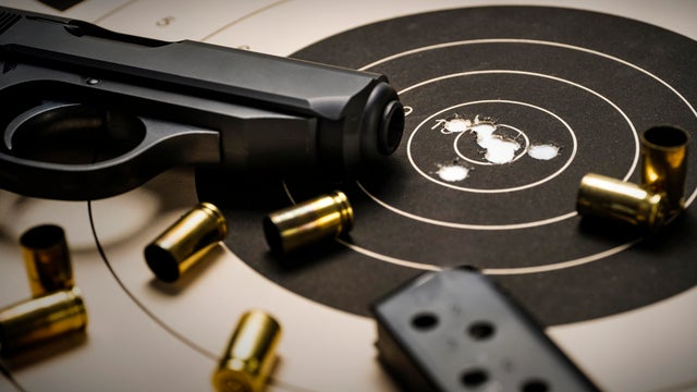 Gun and ammo on target 