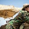 Will Trump team up with Kurdish forces to fight the Iran war?
