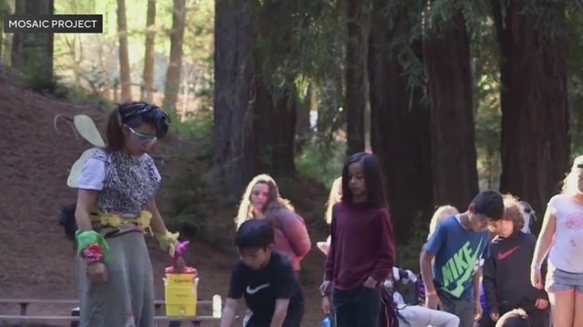 Children inside of a forest for an outdoor camp program 