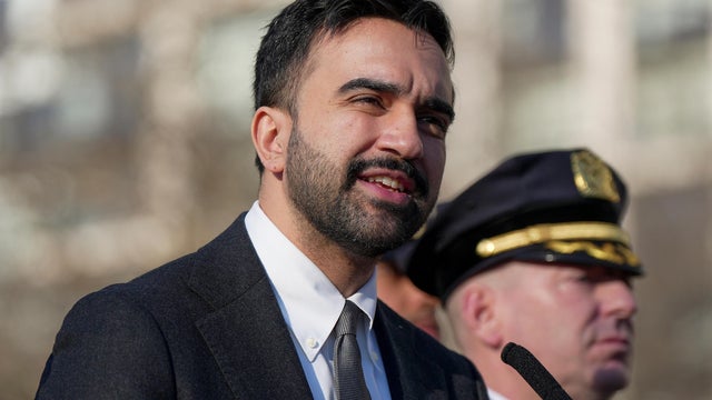 Gracie Mansion Protests 