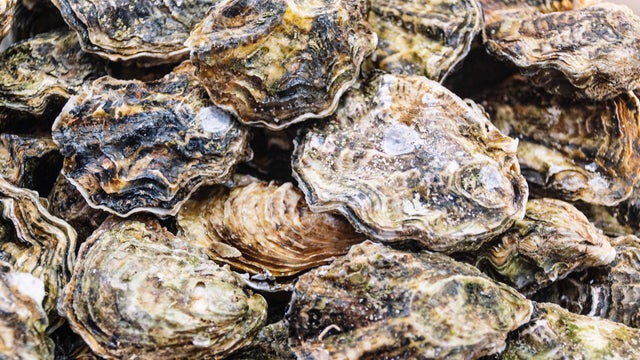 Pile of fresh raw oysters for seafood restaurant 