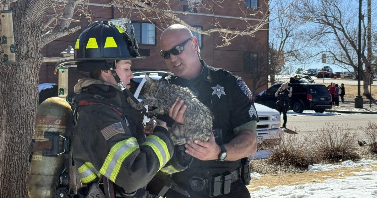 Over 90 guests evacuated, pets rescued after explosion at hotel in Denver metro area