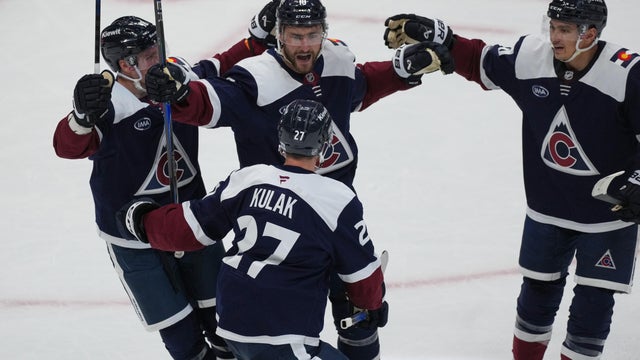 Wild Avalanche Hockey 