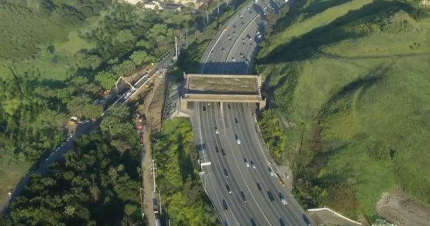 Road closures in place as Annenberg Wildlife Crossing