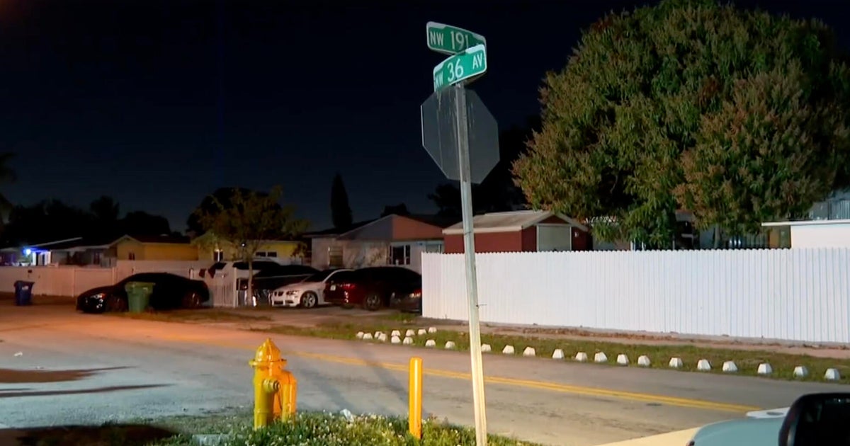 2-year-old boy bitten in face by two pit bulls in Miami Gardens backyard, police say