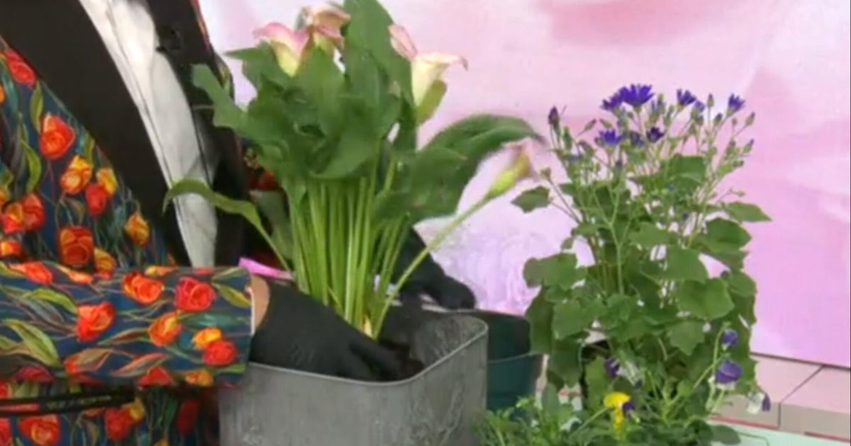 Create your own floral design for planters in your home