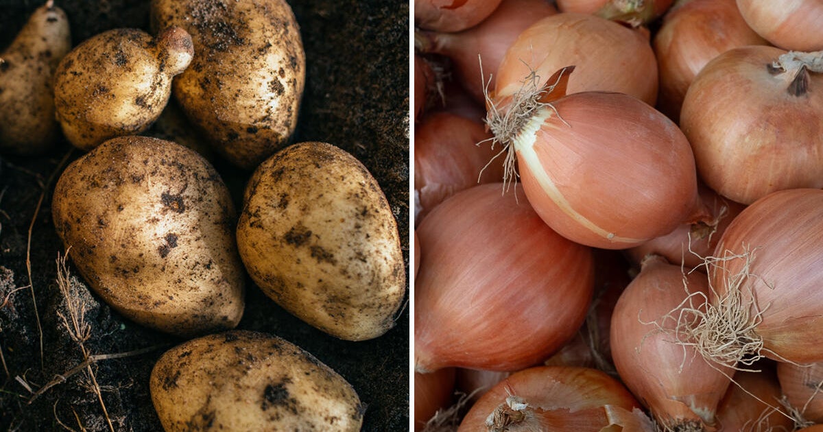 Florida man accused of stealing more than half a million dollars in potatoes and onions, DOJ says
