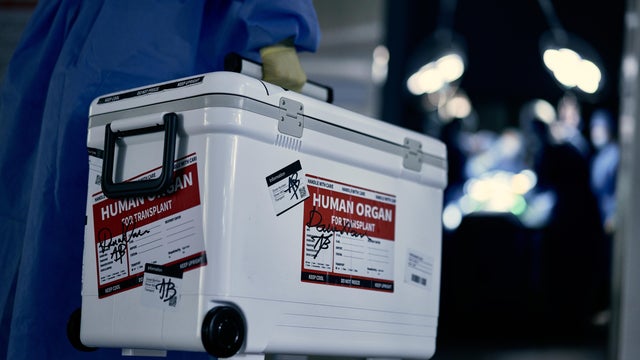 Ice Box for Organ Donation 