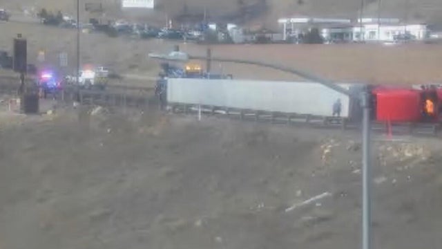 i-70-golden-semi-tipped.jpg 