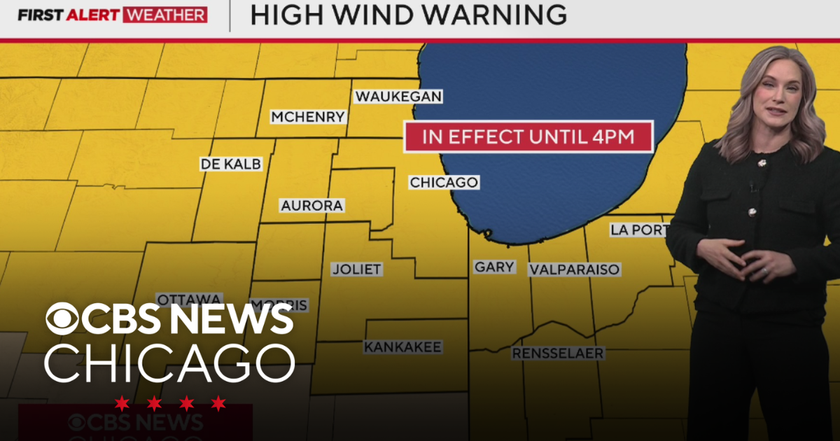 High Wind Warning in effect on Friday in Chicago - CBS Chicago