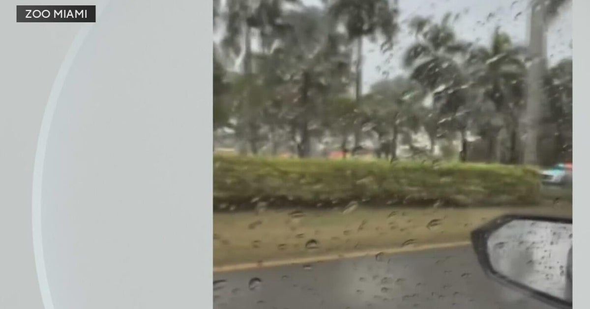 Zoo Miami closed Friday to Saturday due to bomb threat