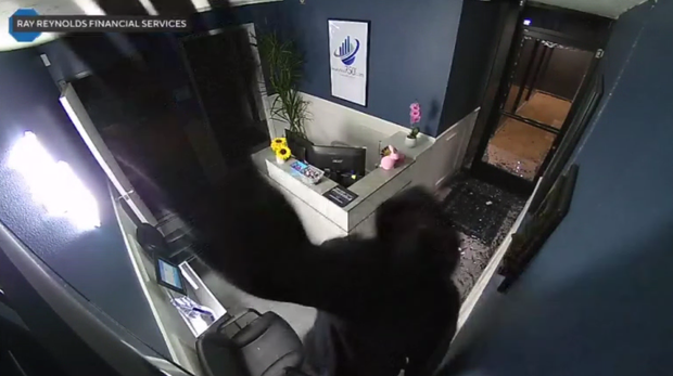 suspect ripping a security camera from the wall of Ray Reynolds Financial Services during an alleged burglary on Thursday, March 12, 2026.