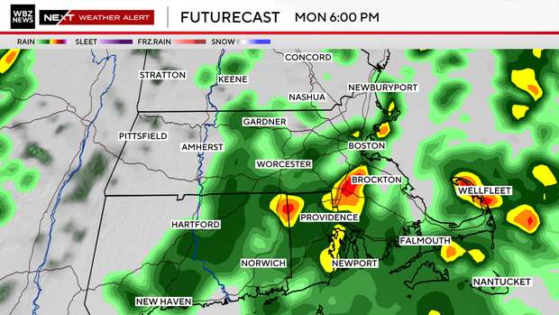 futurecast1.png