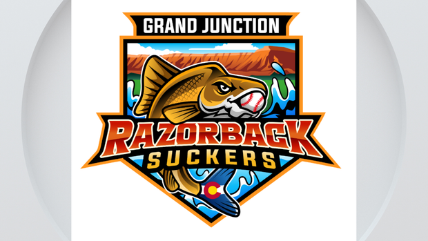 razorback-suckers-grand-junction.png 