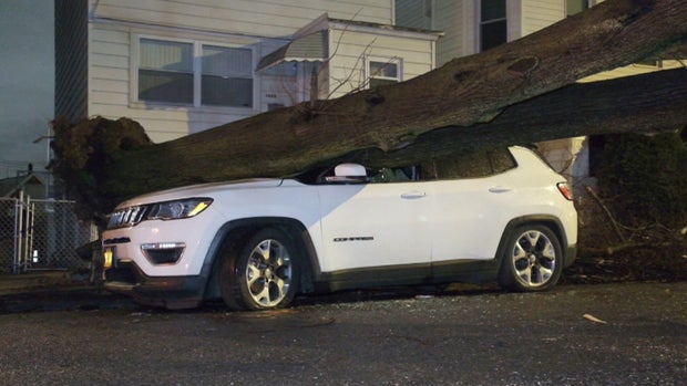 bronx-tree-down-storm-a-wcbsh6bt-hi-res-still.jpg 
