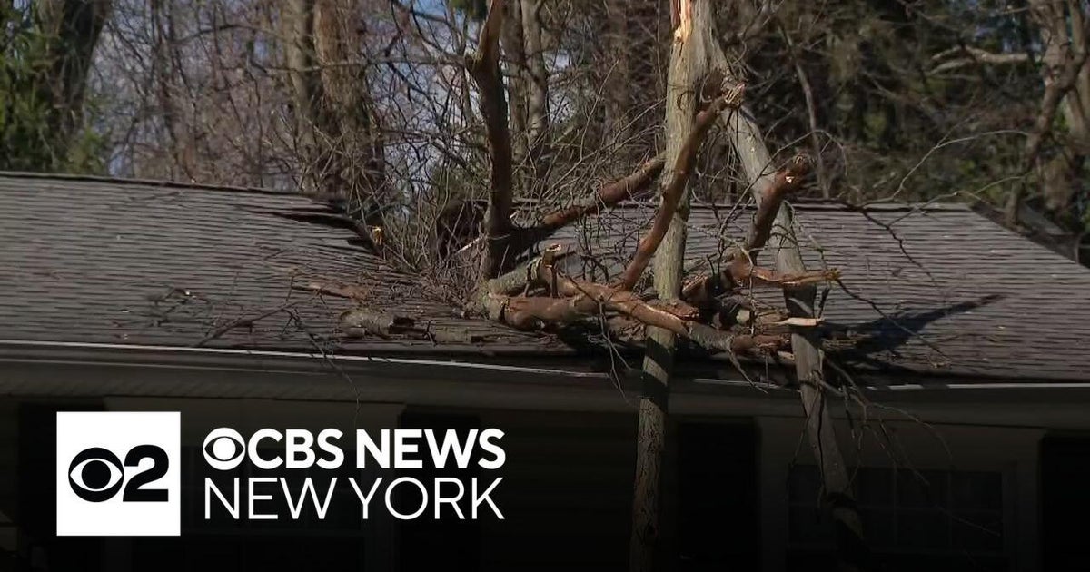 Strong winds overnight topple many trees across New Jersey