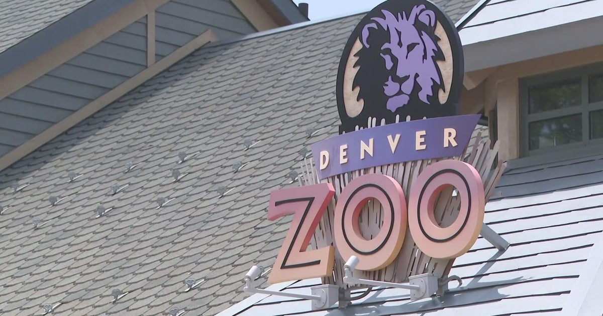 Denver zoo expands operating hours - CBS Colorado