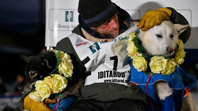 US Iditarod 