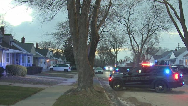 Police lights generic 