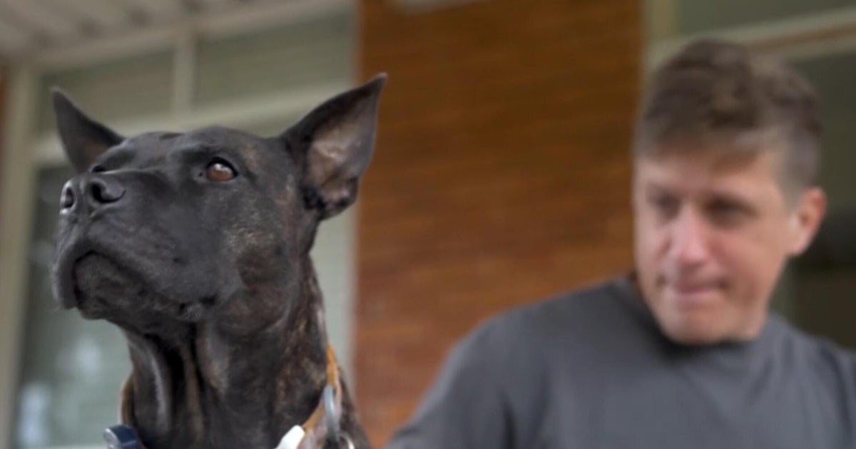 AI expert designs cancer vaccine for his dog using ChatGPT