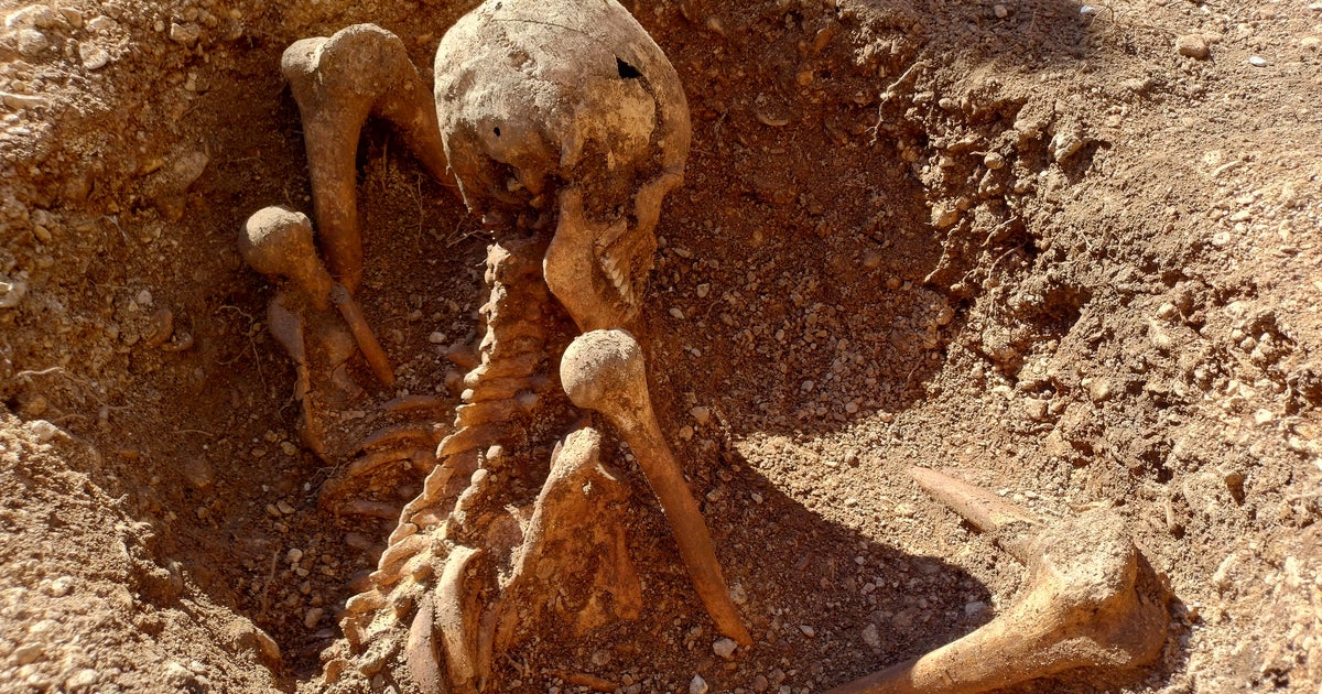 Children discover mysterious ancient skeleton sitting upright next to playground in France