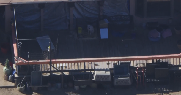 Los Angeles County property has about 700 cats and dogs seized by animal control