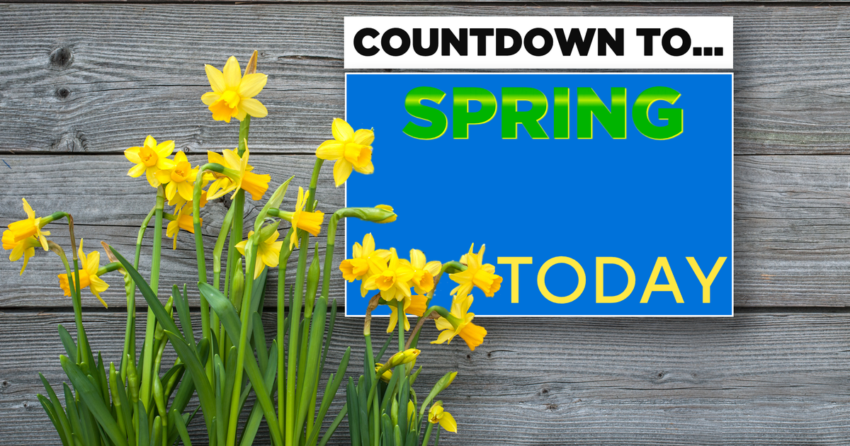 Spring arrives in Southeast Michigan with mild temperatures
