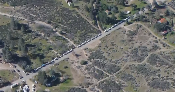 Around 300 cats, dogs seized from Los Angeles-area property in largest animal control operation in county history