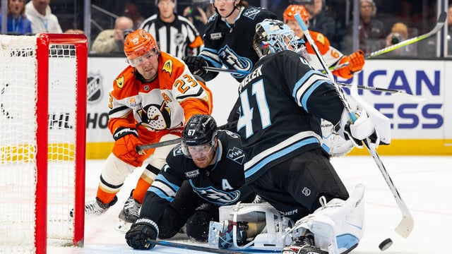 Ducks Mammoth Hockey 