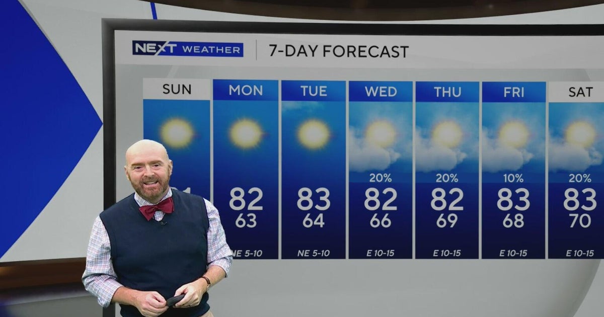 Warm temperatures and clear skies all over South Florida as spring has sprung