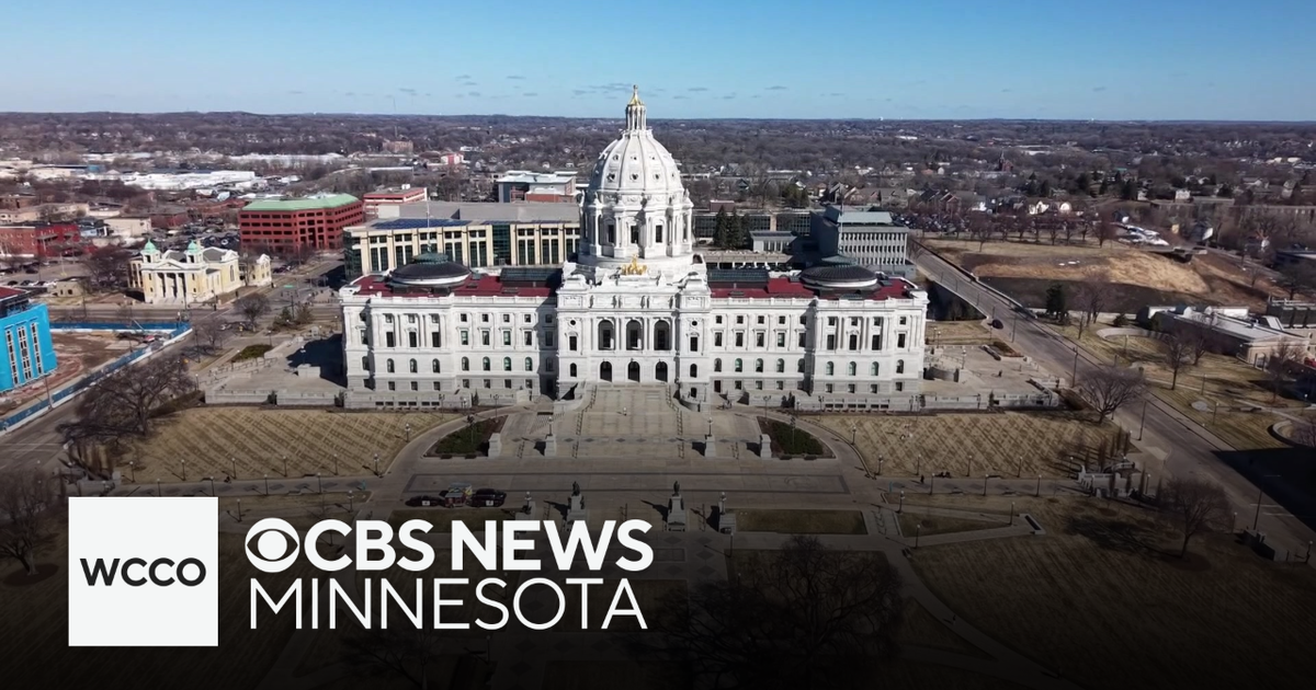 Minnesota bill would aid small businesses impacted by ICE surge