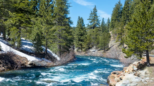 Truckee River Walk 8 