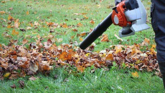Worker cleaning falling leaves in autumn park. Man using leaf blower for cleaning autumn leaves. Autumn season. Park cleaning service. 