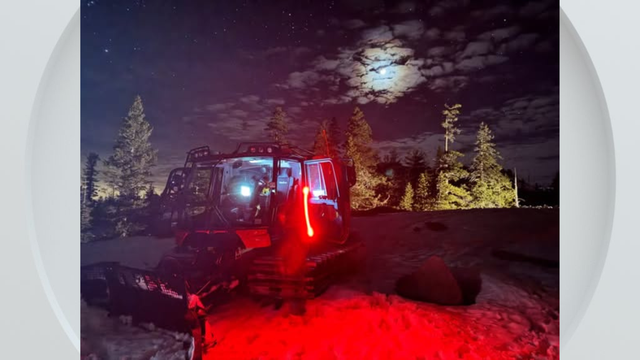 Police light glowing in bokeh blur style, background design. Modern blue and red police  lights concept backdrop 