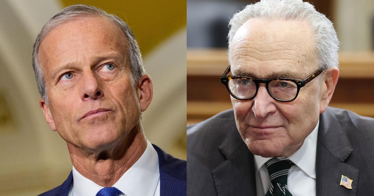 Here's what's in the potential Senate proposal to end the DHS shutdown