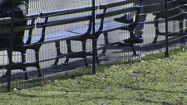 Benches in Central Park 