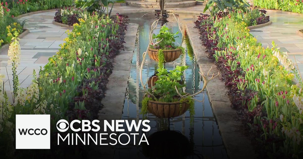 Shift from La Niña to El Niño points to cooler, drier Minnesota spring