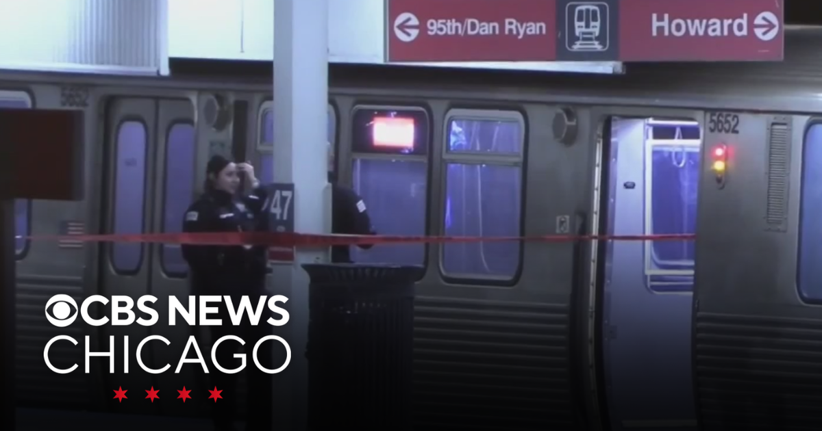 2 men stabbed in neck during fight on CTA Red Line train - CBS Chicago