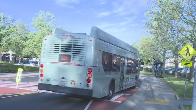 sacrt-eg-buses.jpg 