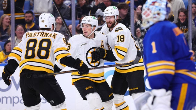 Boston Bruins Pavel Zacha 