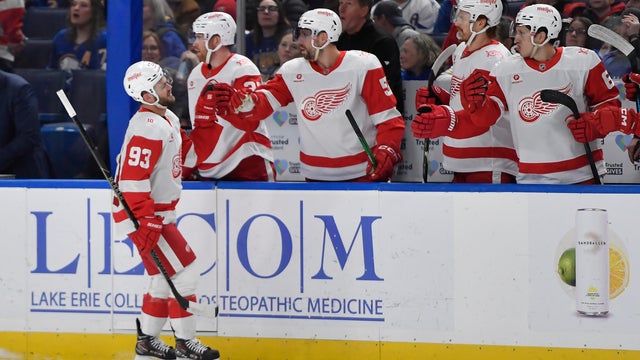 Red Wings Sabres Hockey 