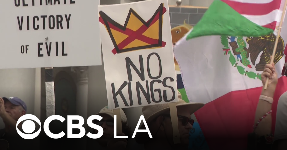 LAPD officers square off with demonstrators after downtown LA "No Kings ...